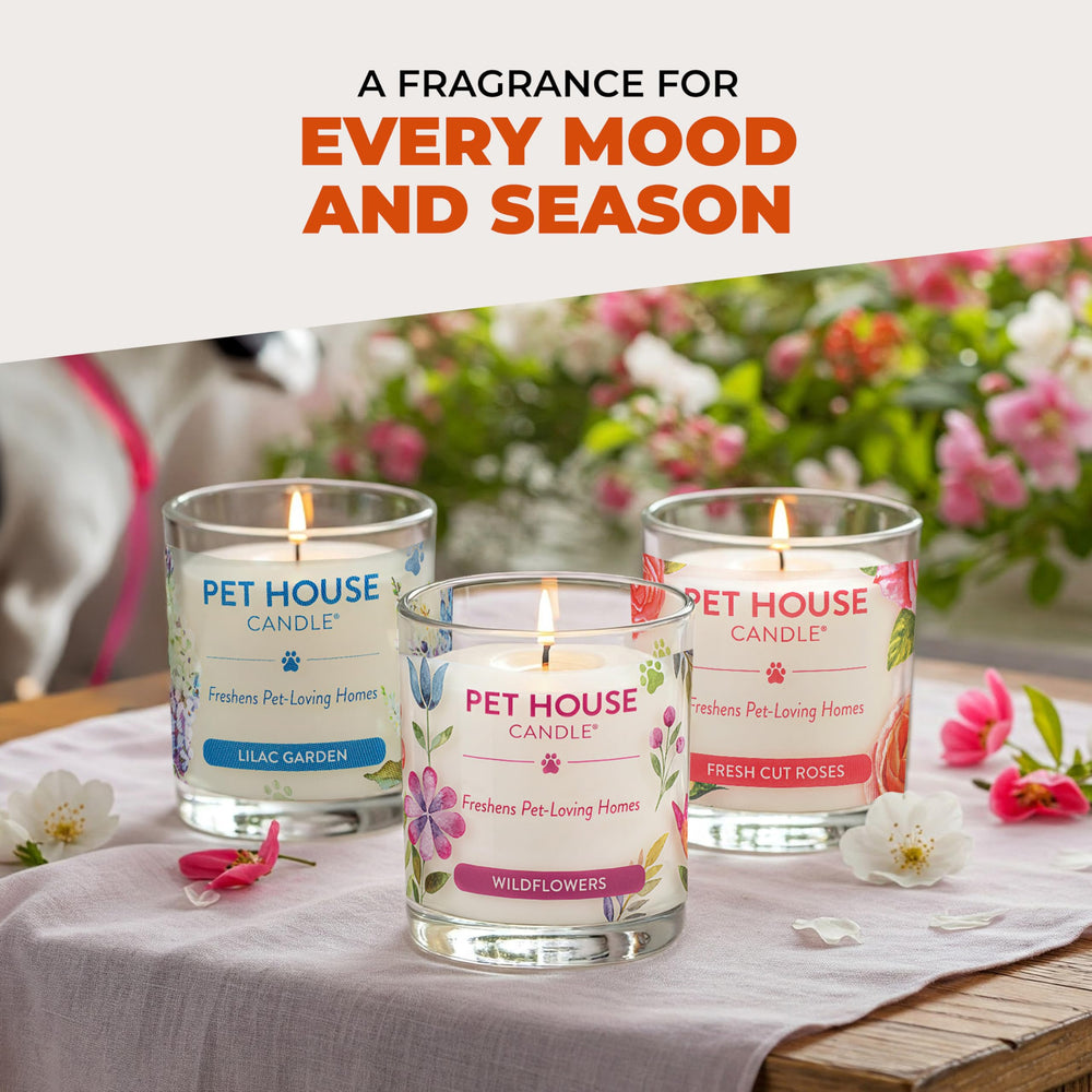 One Fur All Pet House Fall Candles apple cider aroma helps freshen kitchens and living rooms