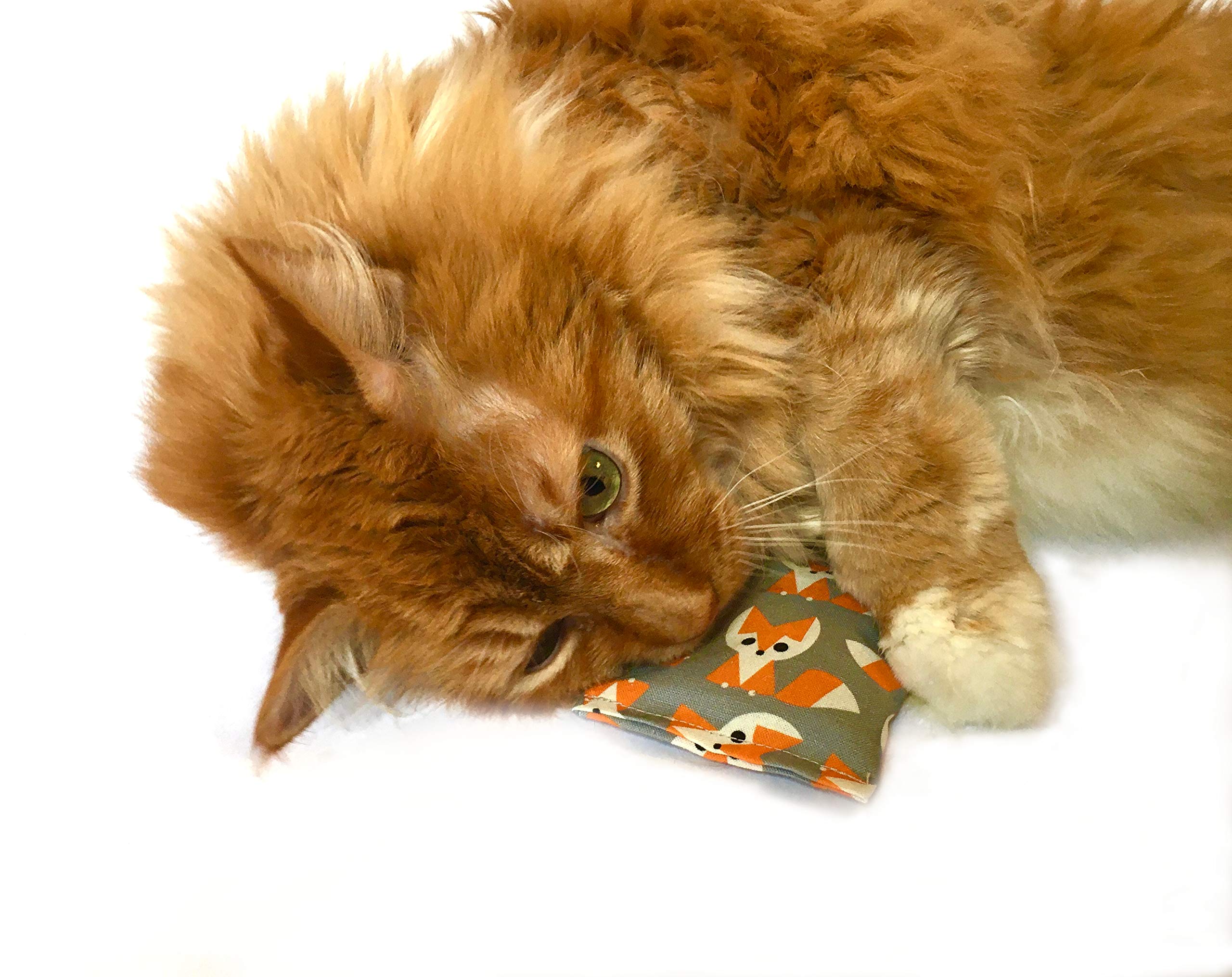 One Organic Catnip Toy sunrise design combines natural scent with interactive play.