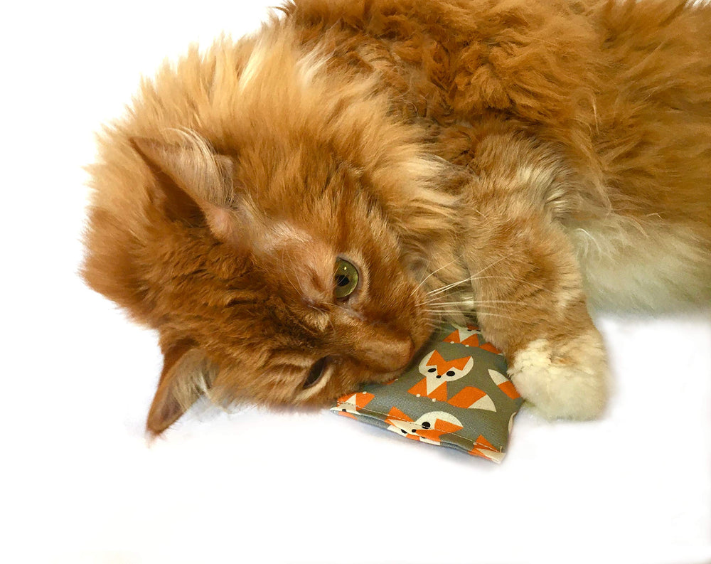 One Organic Catnip Toy sunrise design combines natural scent with interactive play.