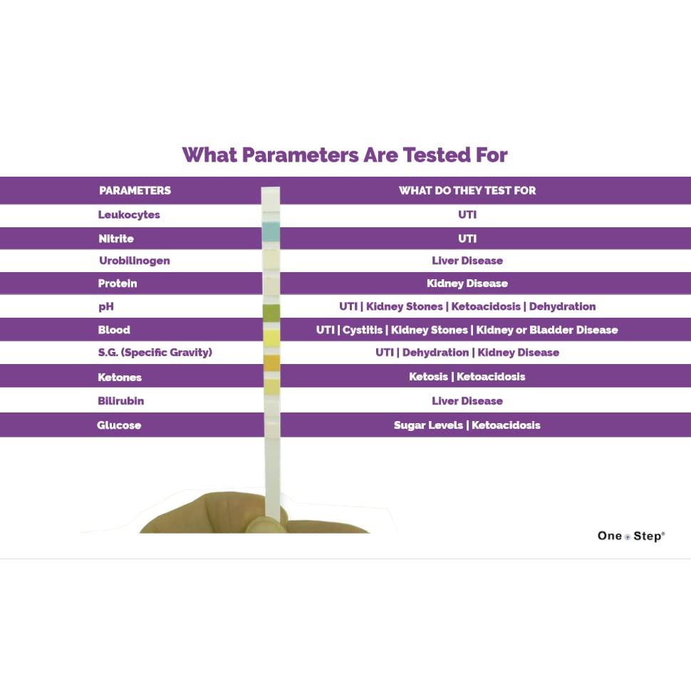 One Step Pet Urine Testing Strips bottle-label with clear guidelines for clinics.