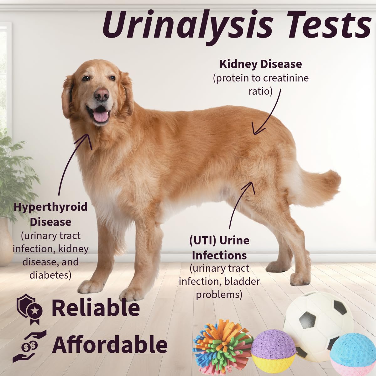 One Step Pet Urine Testing Strips color-chart-closeup for easy interpretation.