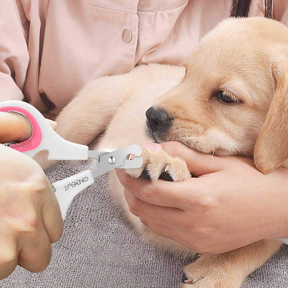 OneCut Pet Nail Clippers in use keeping furniture safe