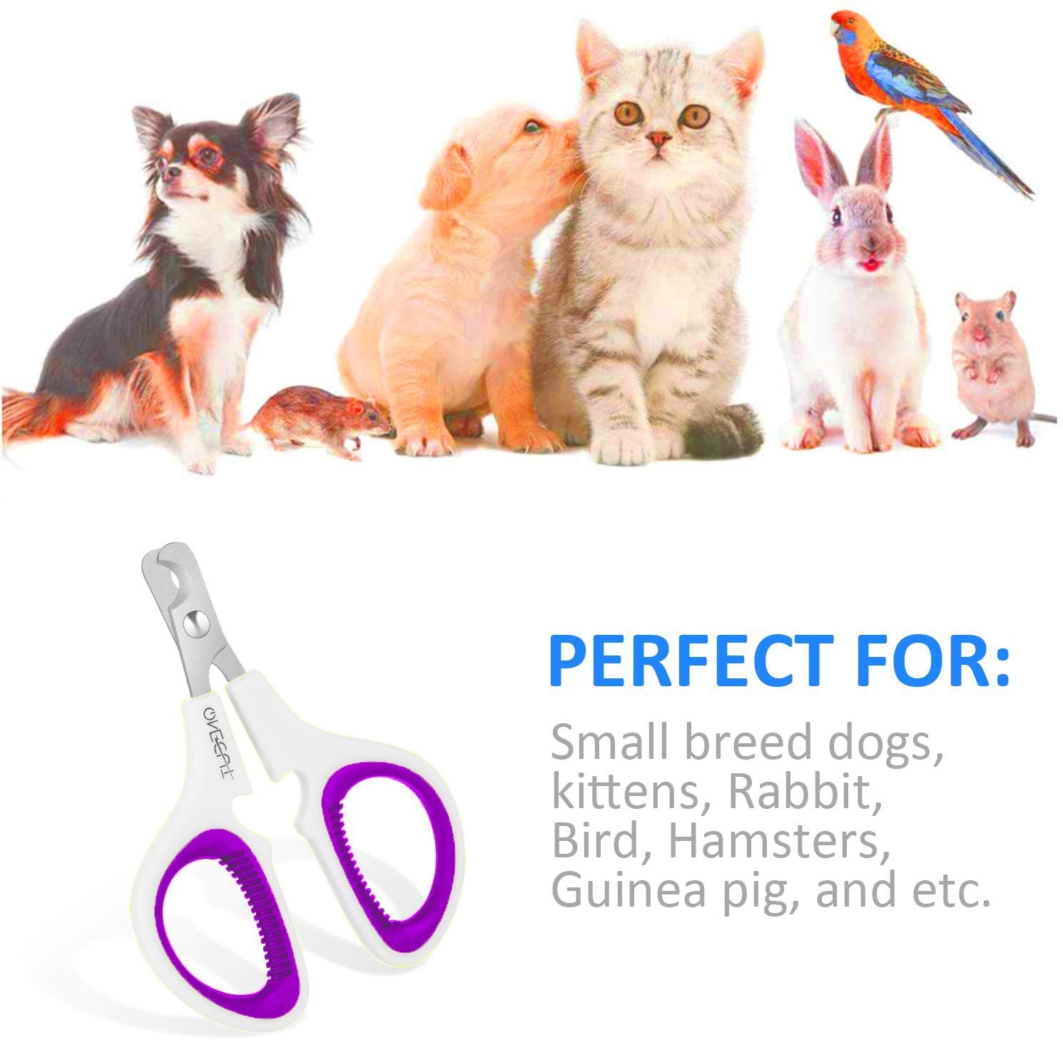 OneCut purple clippers used on a small dog for safe snips.
