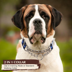 ONEFOJOJO collar features dual D-rings for quick switch between training and standard mode.