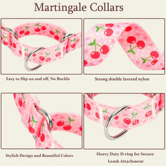 ONEFOJOJO daisy-pattern collar side view adds cute style for stylish walks