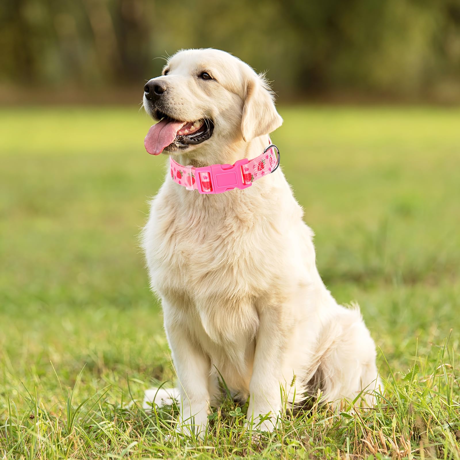 ONEFOJOJO dog collar adjustable fit ensures secure, personalized sizing.
