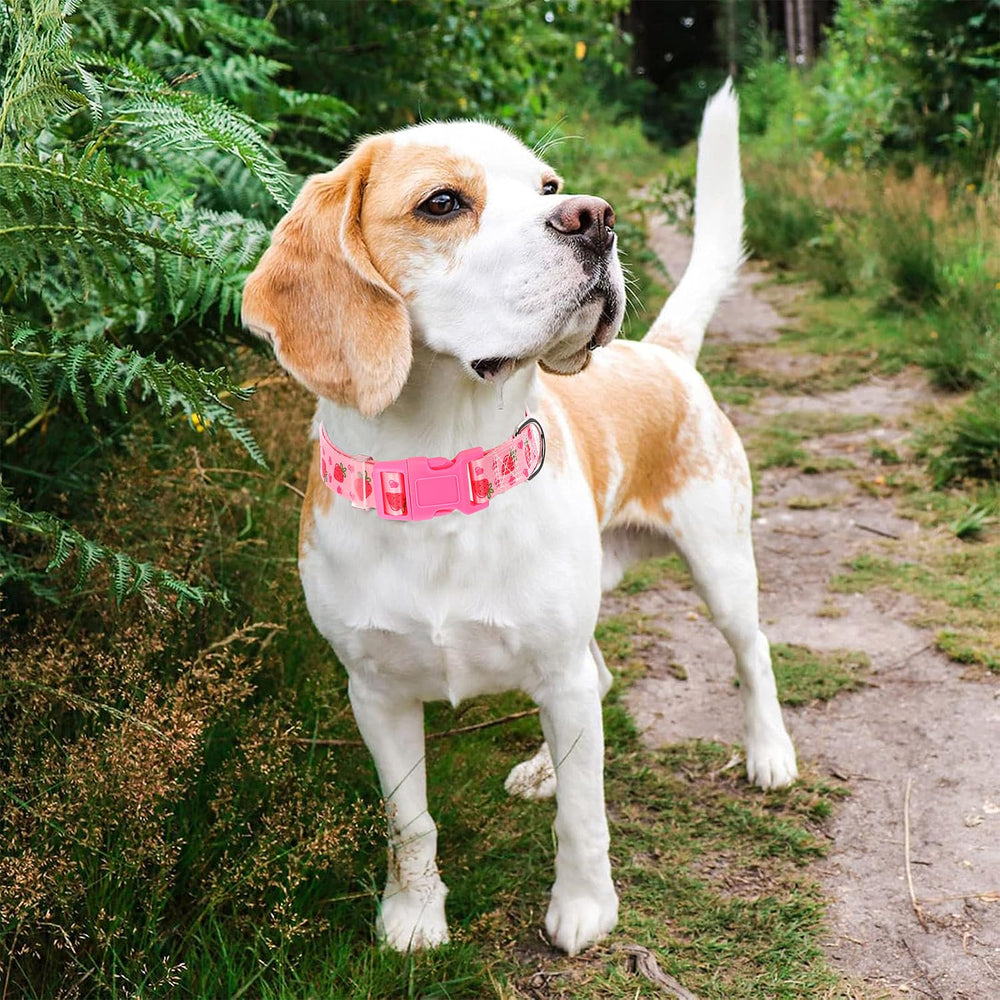 ONEFOJOJO dog collar soft nylon texture provides lightweight, comfortable wear.