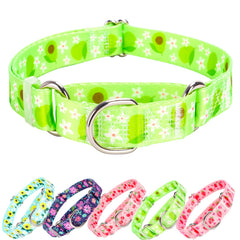 ONEFOJOJO Green Avocado Martingale Collar demonstrates secure leash attachment with strong D-ring