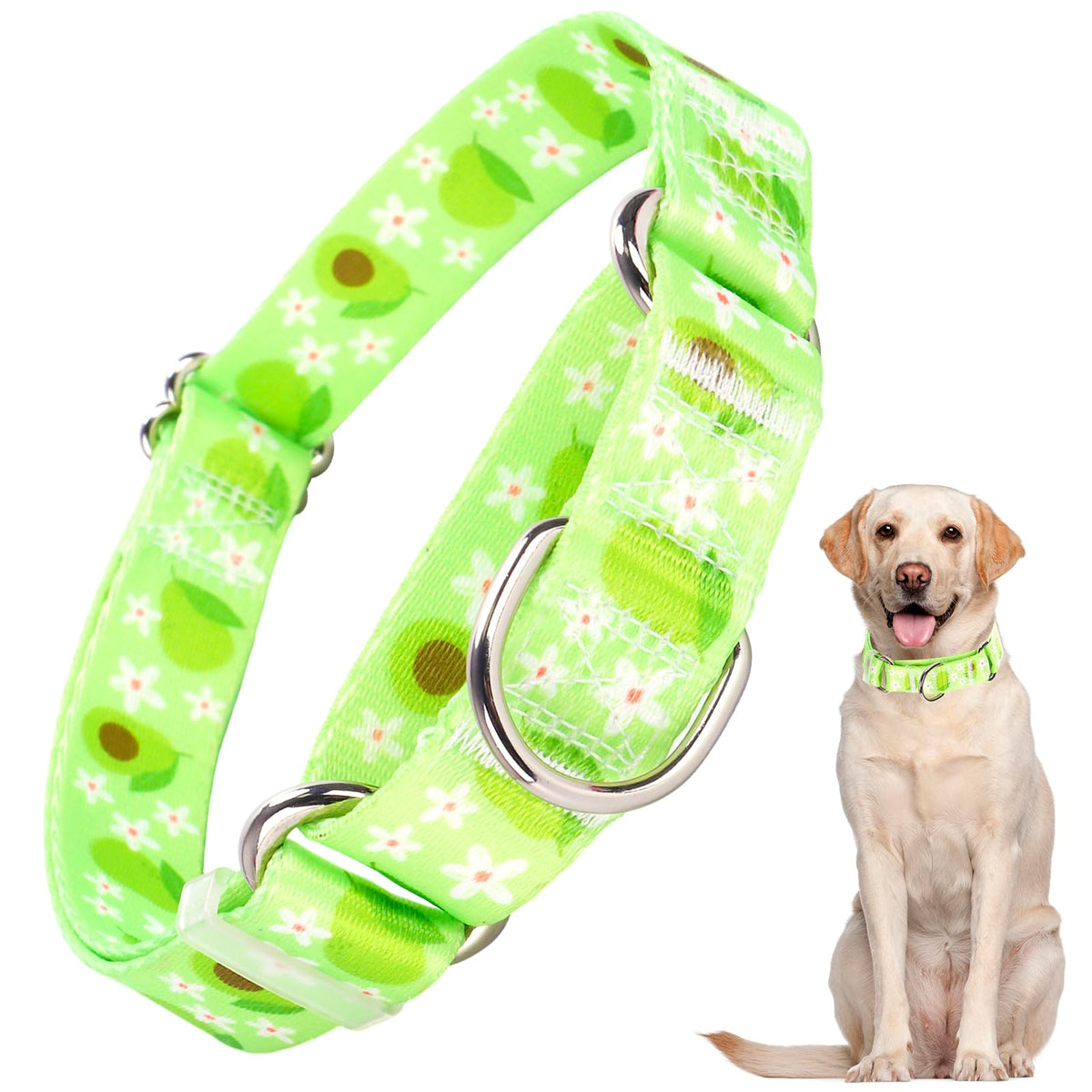 ONEFOJOJO Green Avocado Martingale Collar side view shows durable nylon and comfortable fit