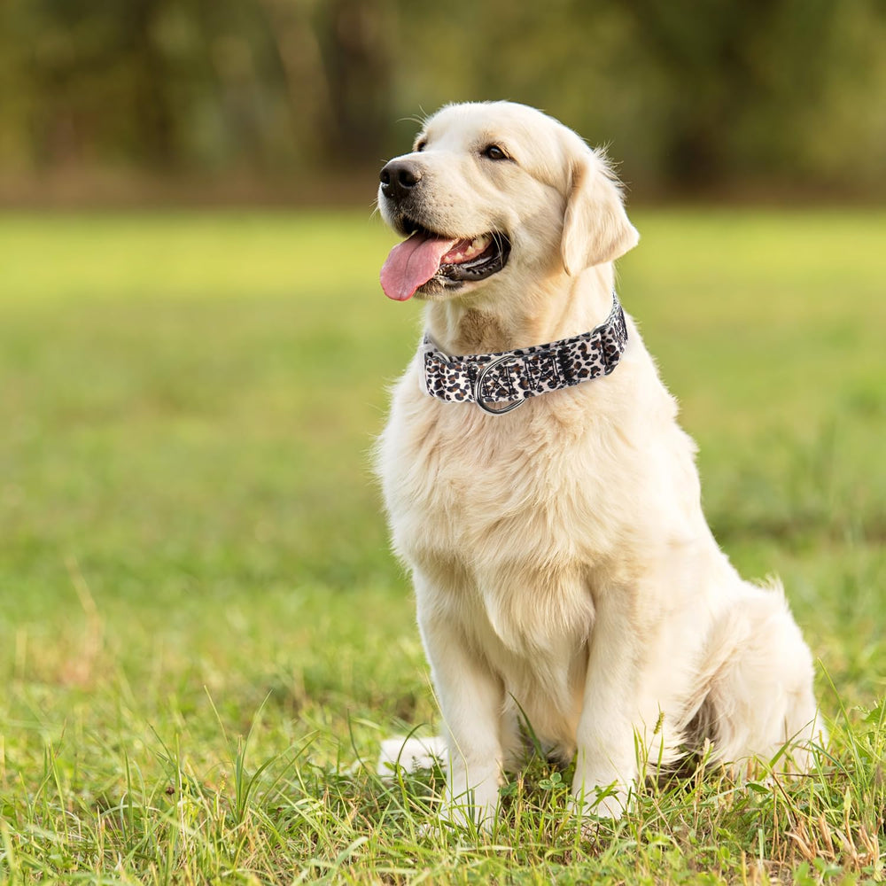 ONEFOJOJO leopard-pattern dog collar designed for outdoor adventures.