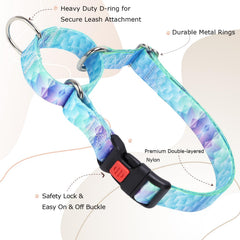 Size-guide image for ONEFOJOJO martingale collar in blue for accurate fit