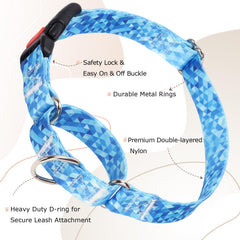 ONEFOJOJO Martingale Collar Blue training session shot suggests gentle cinch for commands.