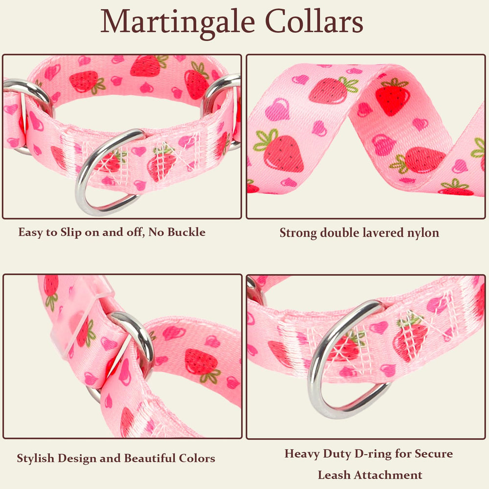 ONEFOJOJO martingale collar heavy-duty hardware showcases durability for long-lasting leash use