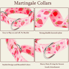 ONEFOJOJO martingale collar heavy-duty hardware showcases durability for long-lasting leash use