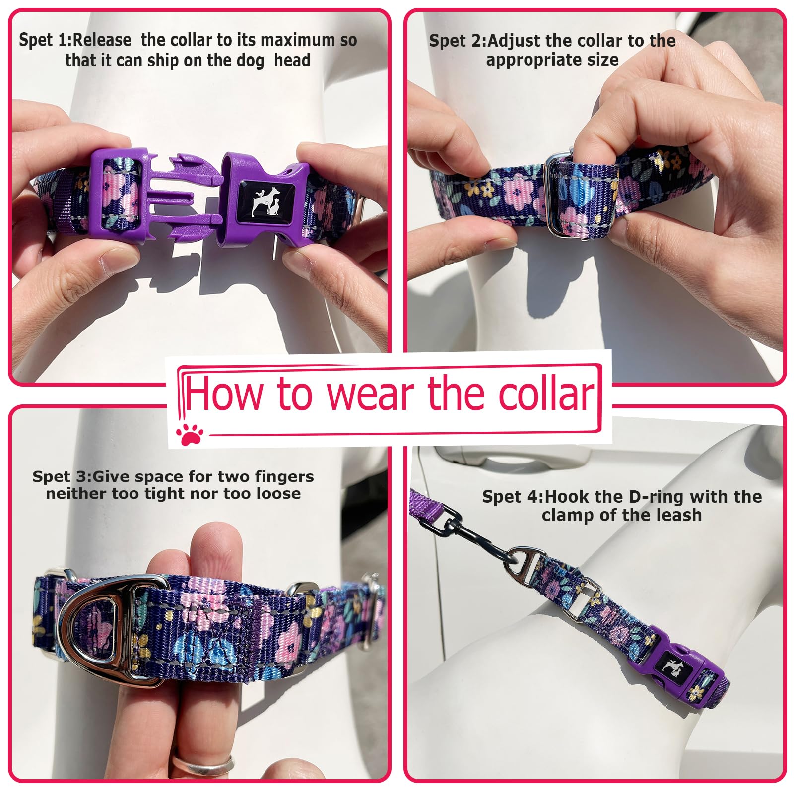ONEFOJOJO Martingale Collar outdoors shows improved visibility at night.