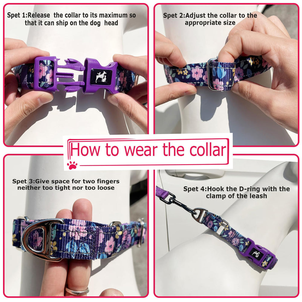 ONEFOJOJO Martingale Collar outdoors shows improved visibility at night.