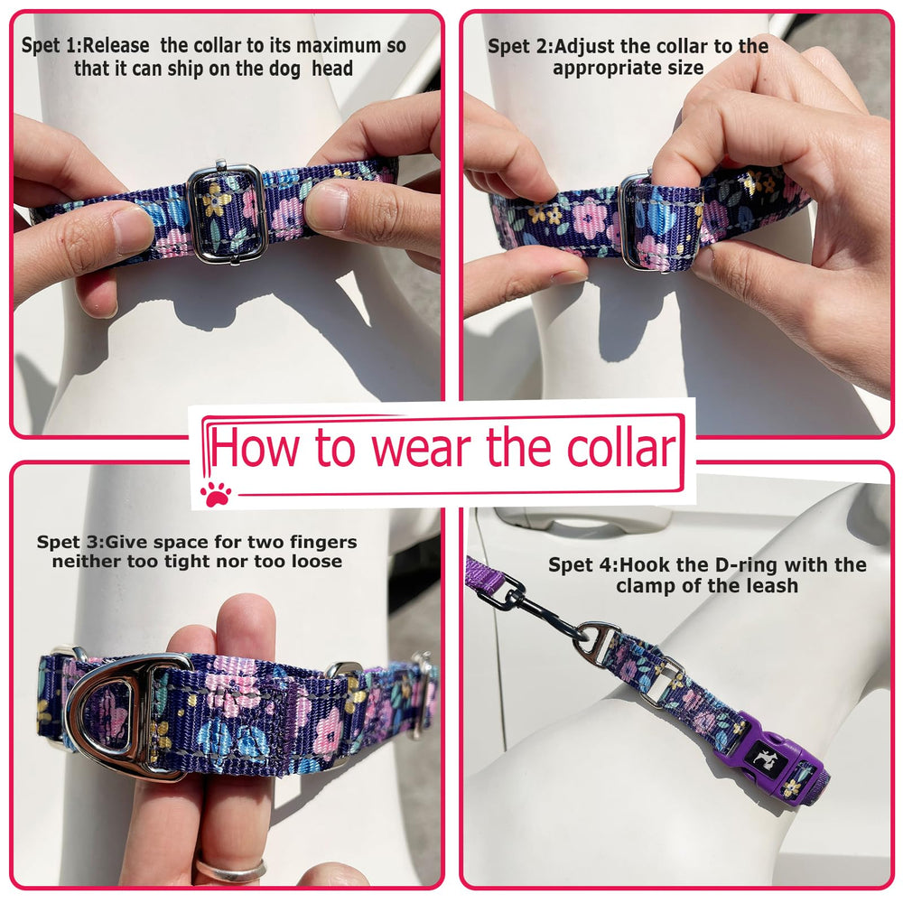 ONEFOJOJO padded, durable collar supports training with gentle control