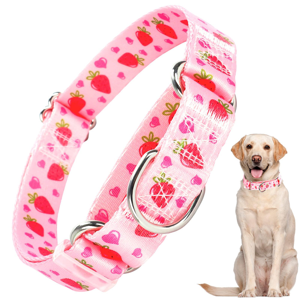 ONEFOJOJO martingale collar pink strawberries closeup highlighting gentle control for daily walks