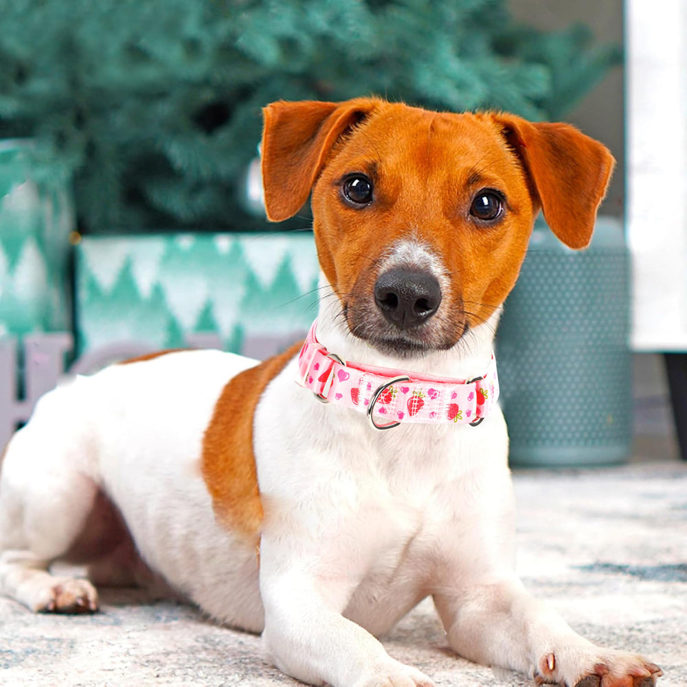 ONEFOJOJO martingale collar size guide helps pick the right fit for comfortable walks