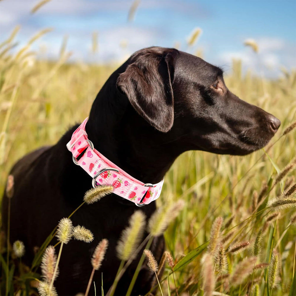 ONEFOJOJO martingale collar soft nylon webbing emphasizes comfortable wear during training sessions