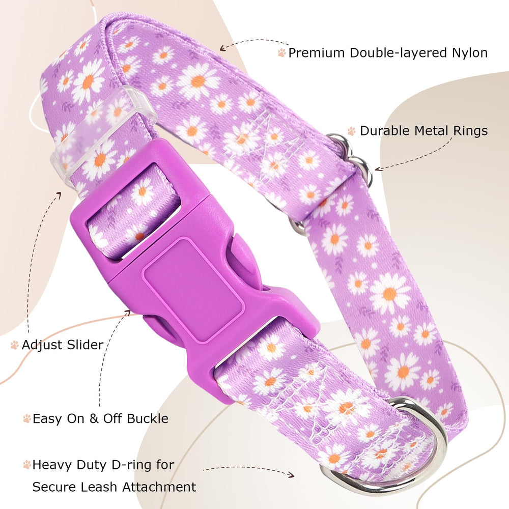 ONEFOJOJO purple collar with adjustable strap ensures comfortable fit across dog sizes