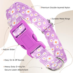 ONEFOJOJO purple collar with adjustable strap ensures comfortable fit across dog sizes