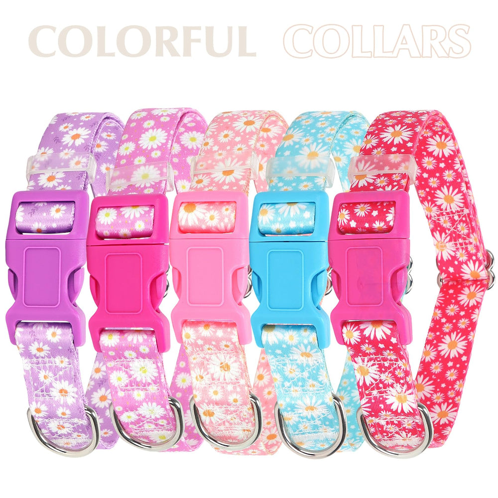 ONEFOJOJO daisy-pattern collar ideal for daily walks and outdoor adventures