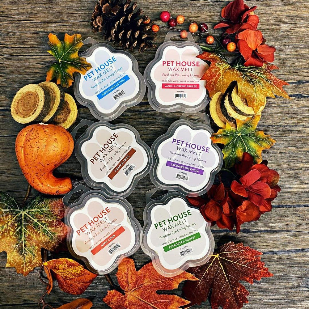 One Fur All warm-spice scent scene for autumn gatherings