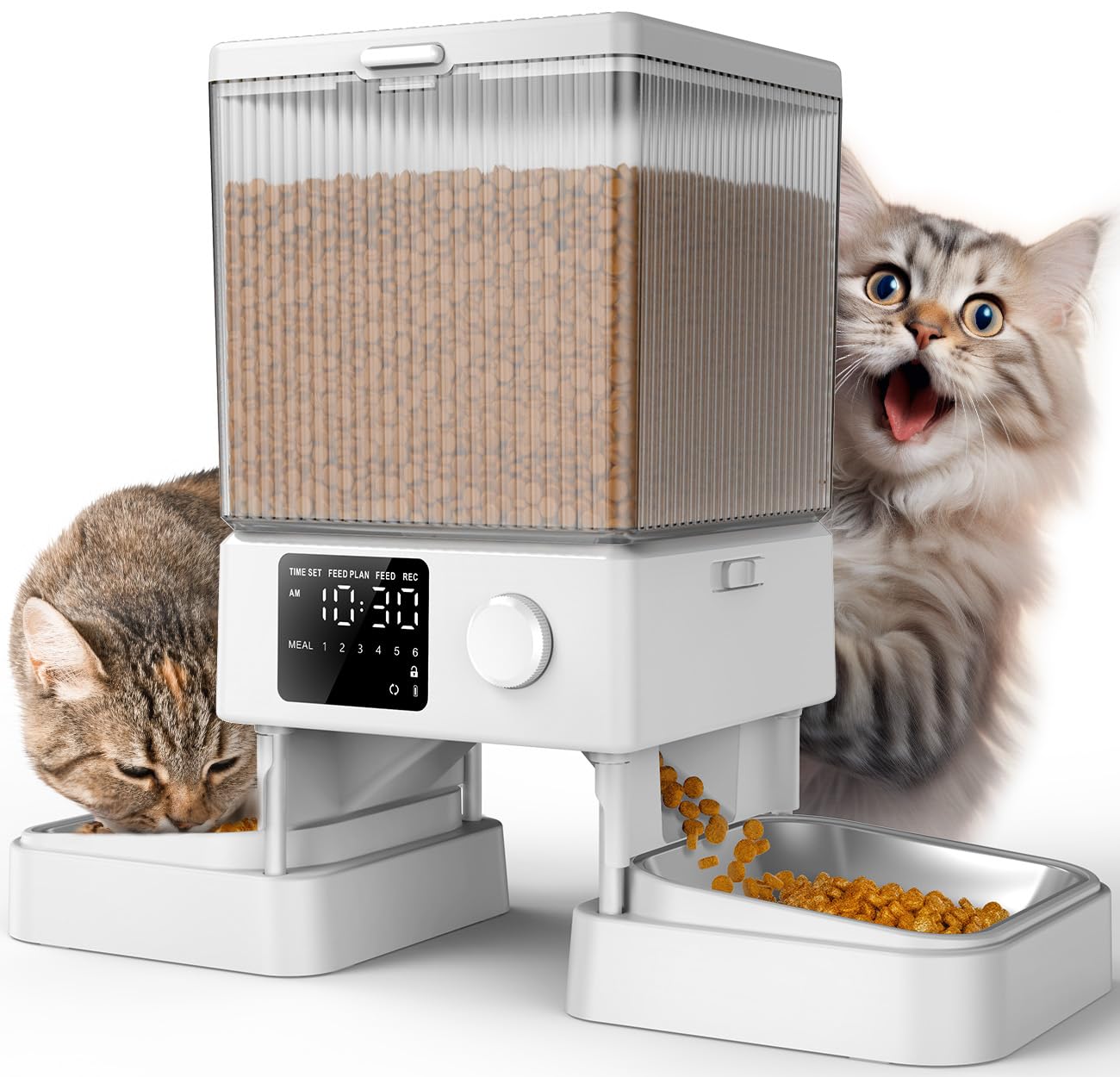 oneisall automatic cat feeder dispenses dry food for two cats, promoting balanced meals