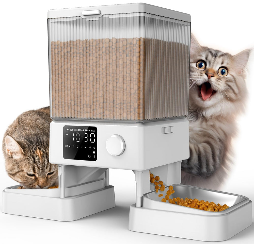 oneisall automatic cat feeder dispenses dry food for two cats, promoting balanced meals