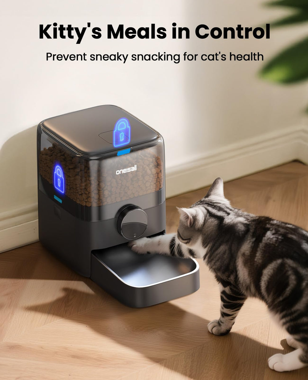 OneIsAll black feeder on table with sleek indoor design and on-time feeding