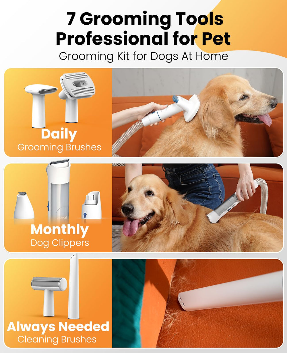 oneisall BM3 cordless dog clippers provide flexible grooming without cords.