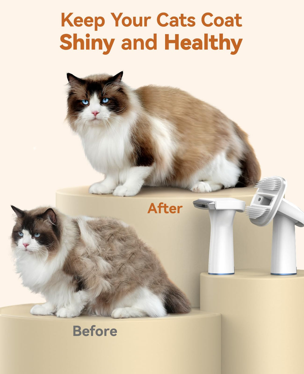 Oneisall cat hair vacuum action captures loose fur while smoothing the coat.