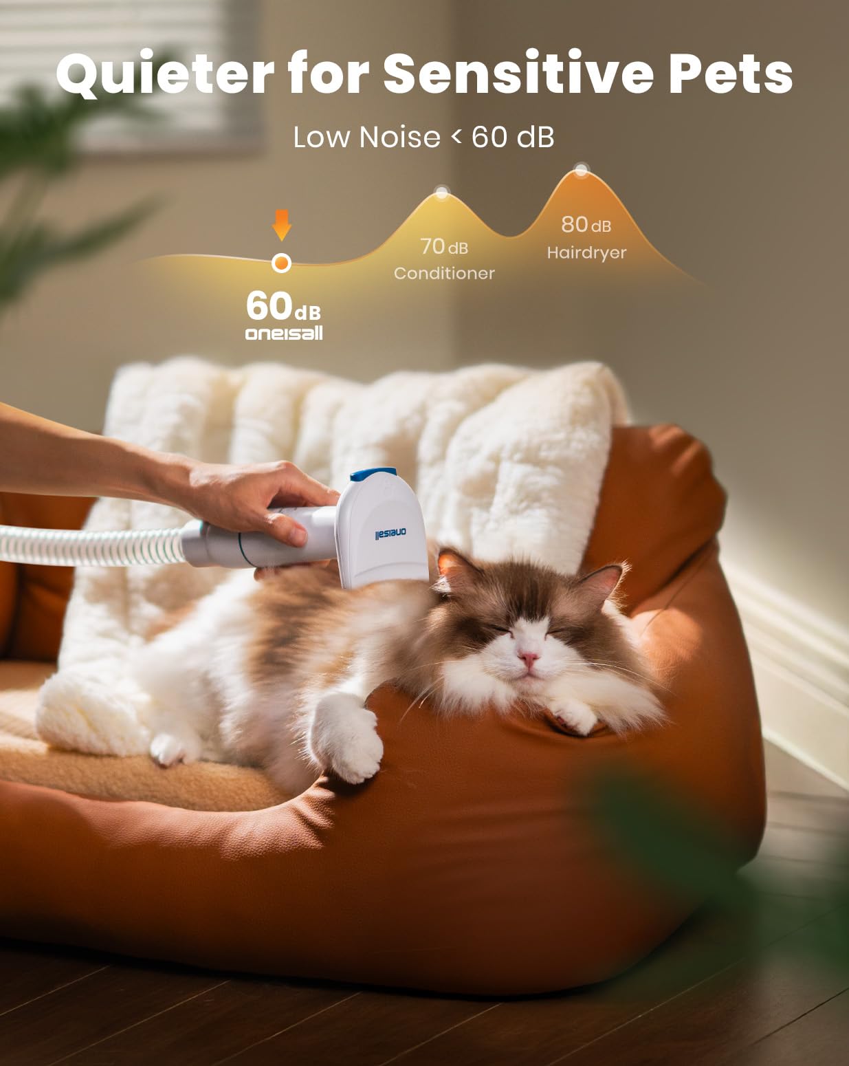 oneisall dog-grooming-session-comfy-pet highlights a smooth, stress-free experience