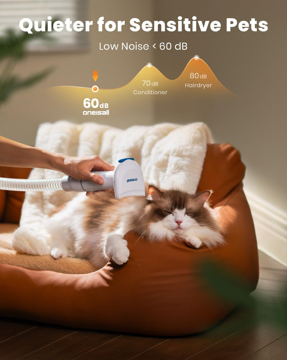 oneisall dog-grooming-session-comfy-pet highlights a smooth, stress-free experience