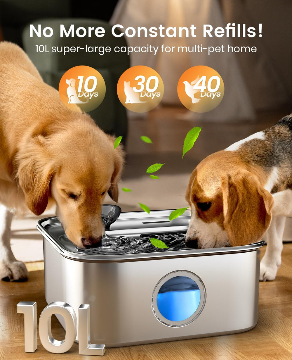 oneisall dog water fountain setup view demonstrates easy placement for busy homes