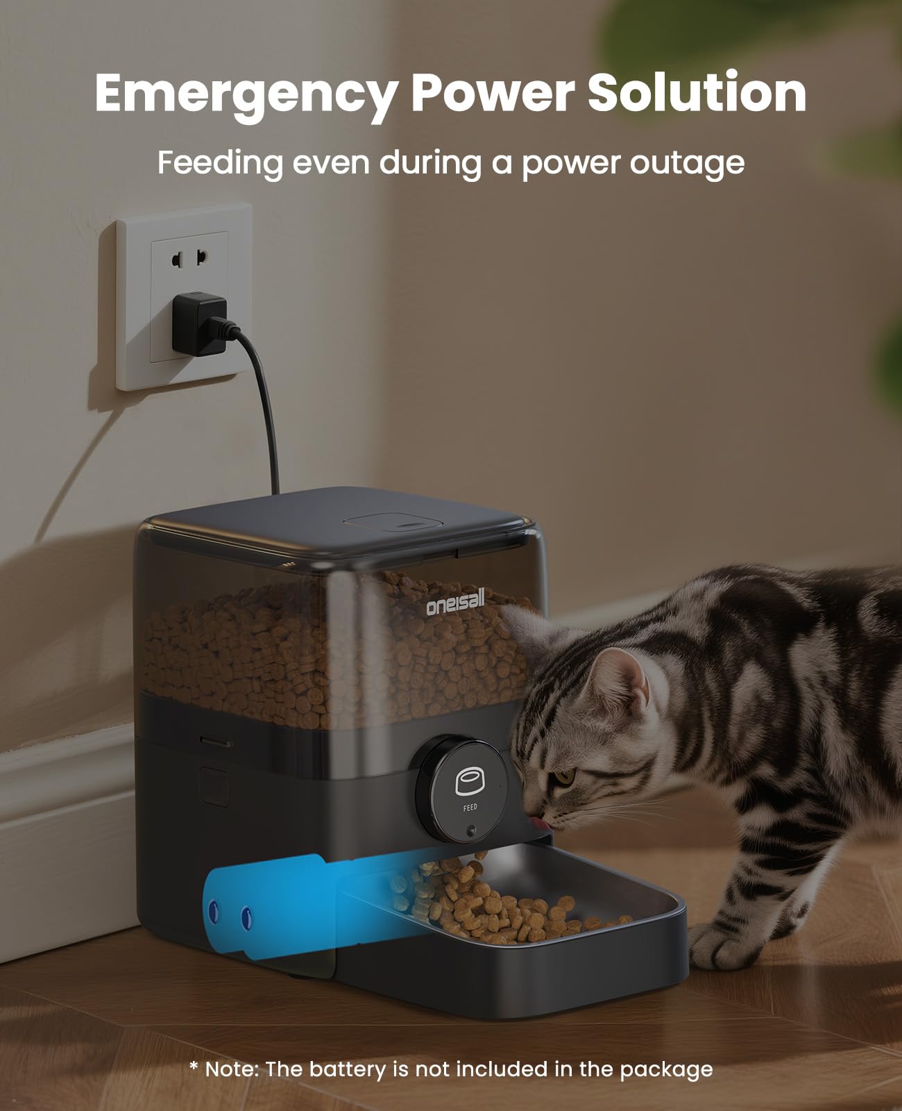 OneIsAll feeder in use during morning routine demonstrating hands-free feeding