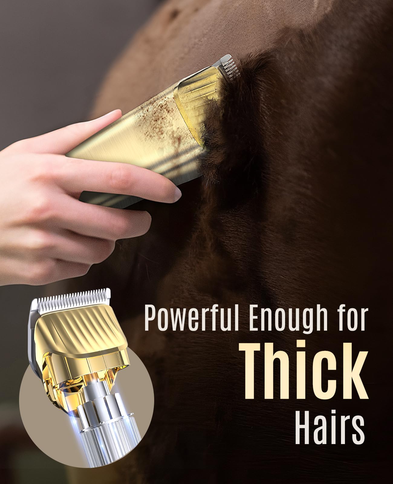 Oneisall horse clippers with two-speed control for thick coats and mane work.