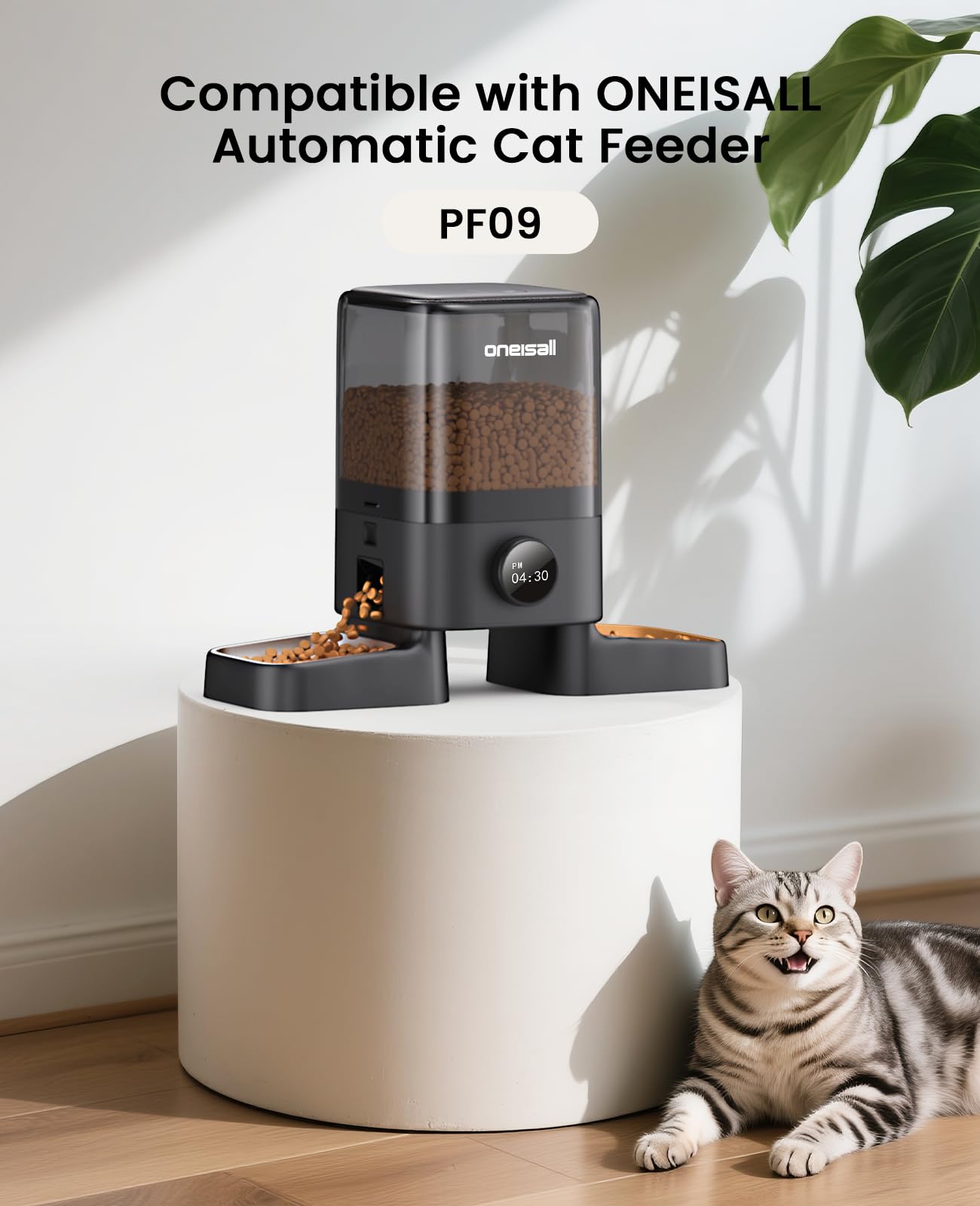 oneisall moisture-absorbing packet maintains dry food quality.