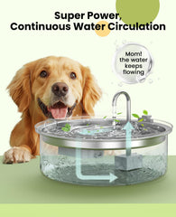 oneisall stainless-steel nozzle-dog drinking fountain helps durable hydration for pets.