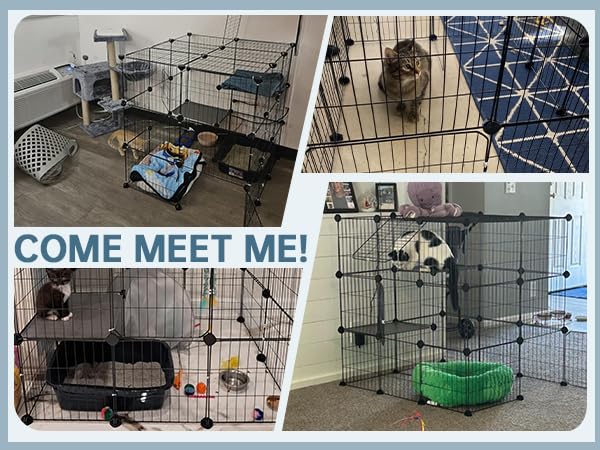 Oneluck catio with zip-ties highlights stability and secure enclosure.