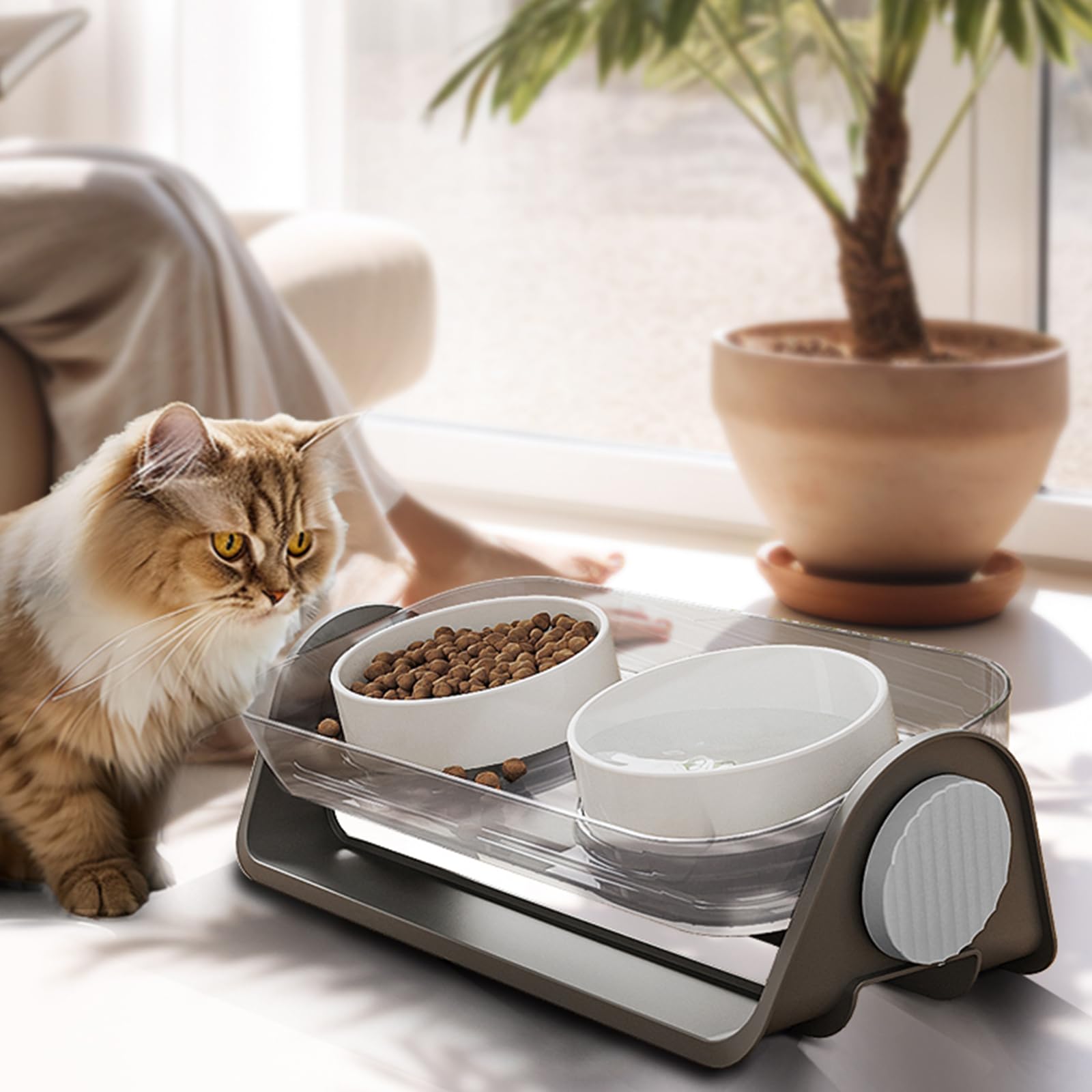 Oneluck 16oz bowls suit small to medium pets for balanced portions