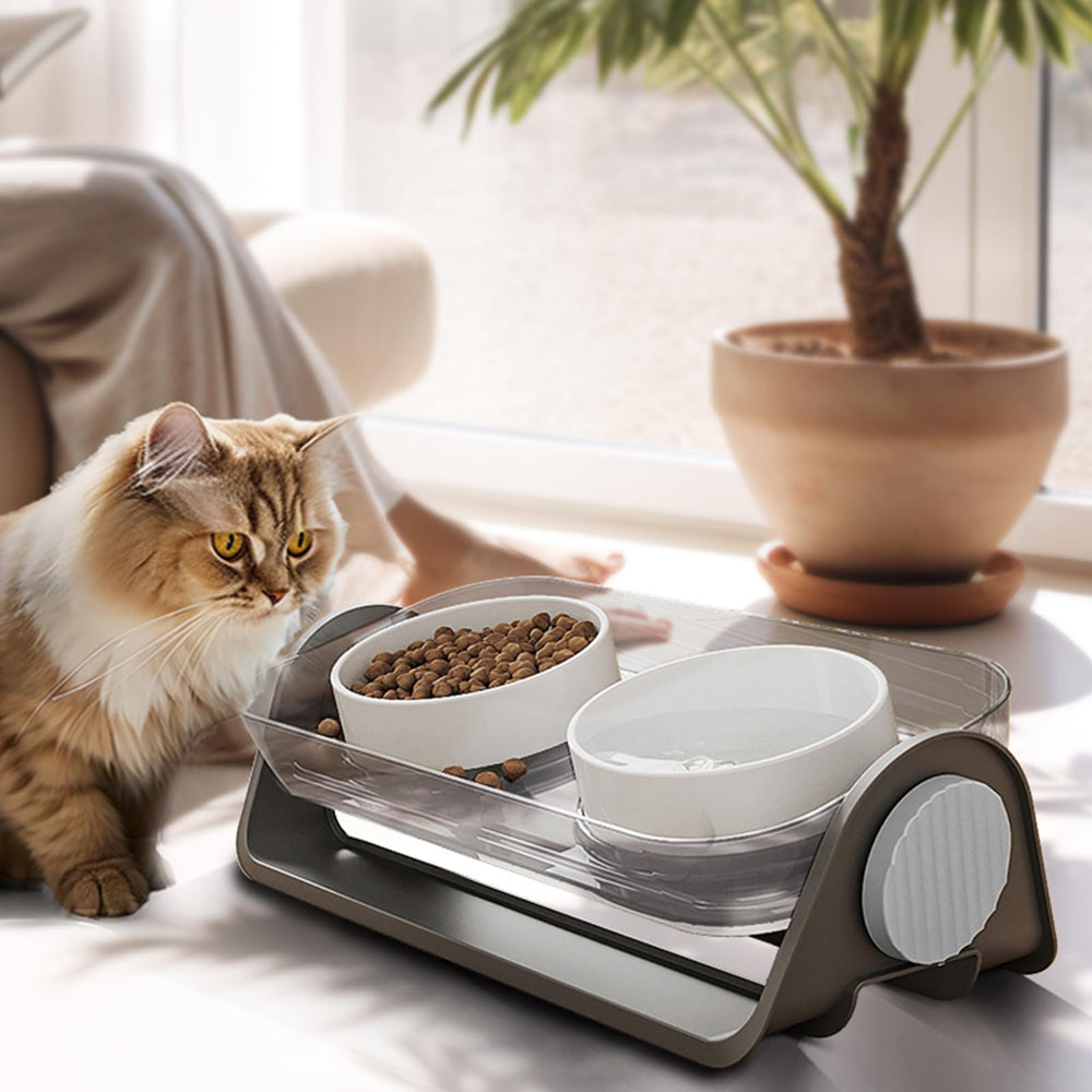 Oneluck 16oz bowls suit small to medium pets for balanced portions