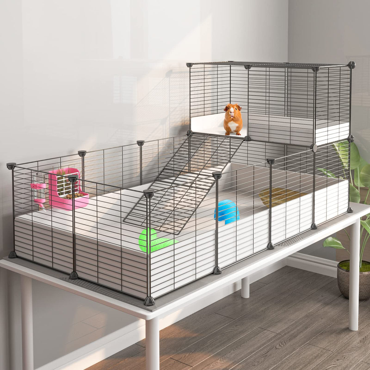 Oneluck guinea pig cage with divider layout for peaceful shared or separate habitats