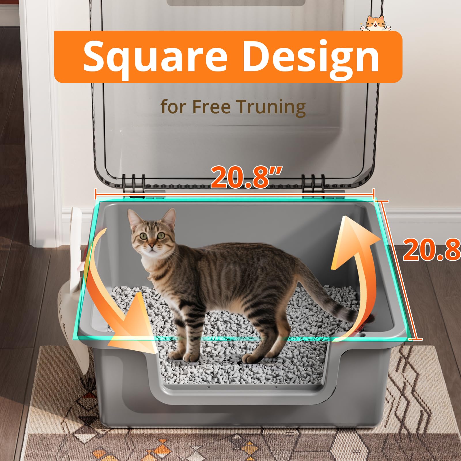 Oneluck low-entry design aids easy access for kittens and seniors.