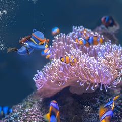 onesimcr cartoon-diver-aquarium adds a playful focal point
