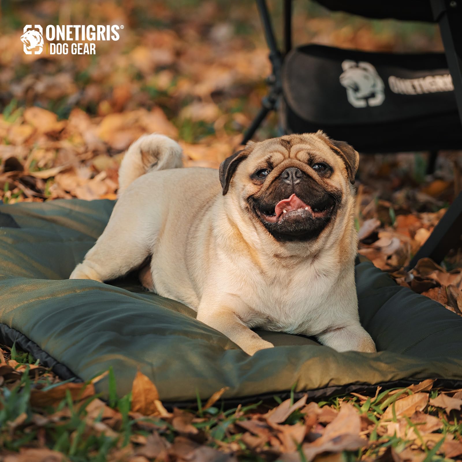 ONETIGRIS bed designed for indoor and outdoor use during travels.