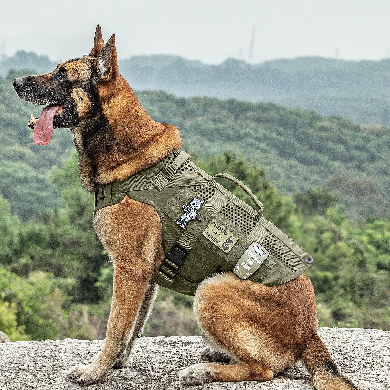 OneTigris adjustable straps and quick-release buckles showcase secure fit for multiple dog sizes