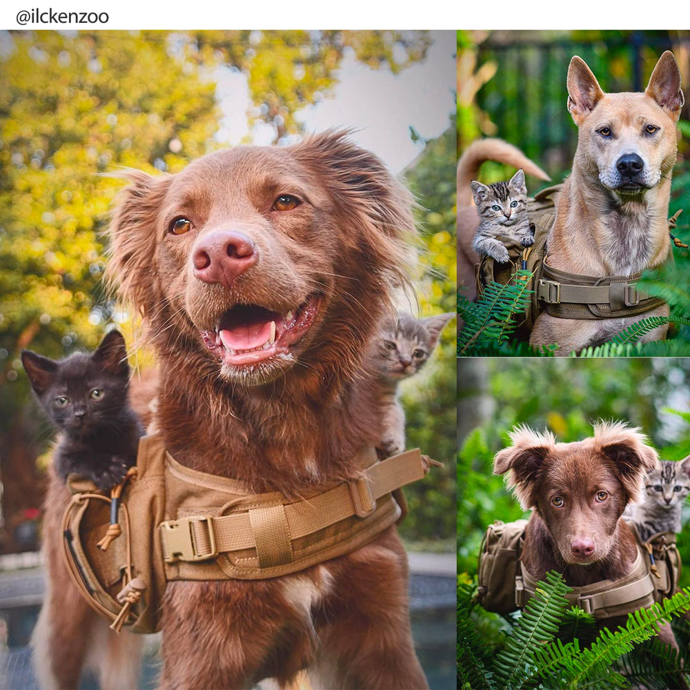 ONETIGRIS mammoth nylon dog-pack features breathable mesh lining for long outdoor sessions.