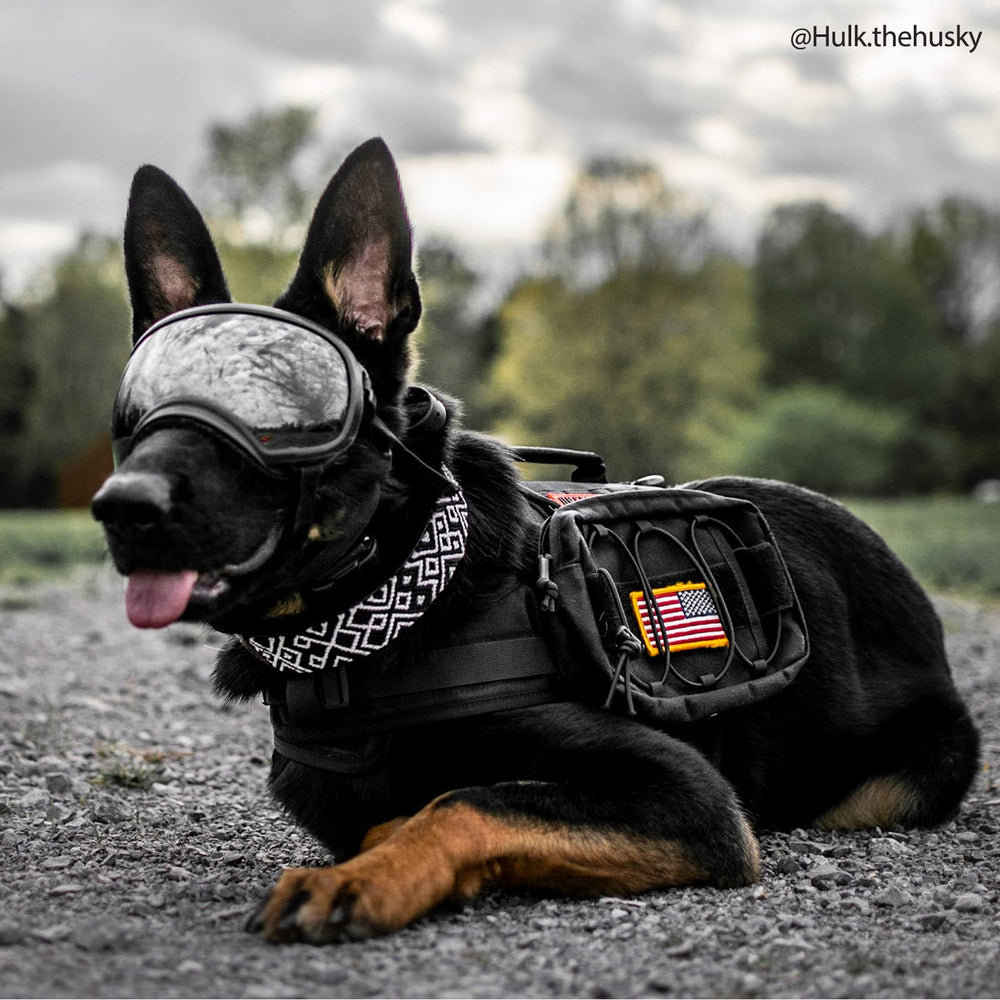 ONETIGRIS dog backpack harness view shows adjustable straps for comfortable long walks